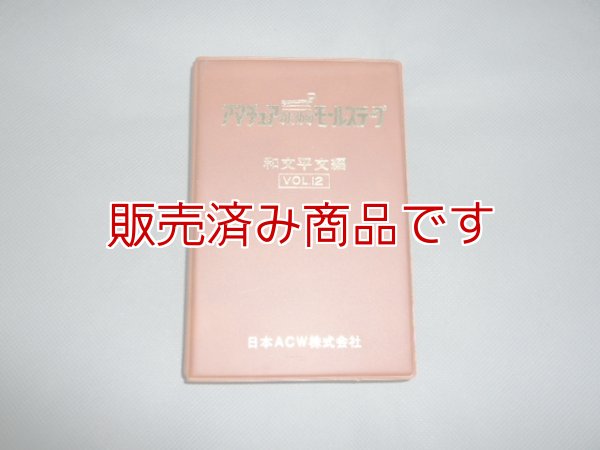 画像1: 日本ACW　和文平文編　/VOL　12